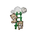 Ursinho nas Nuvens 2 (Sem Fundo).webp