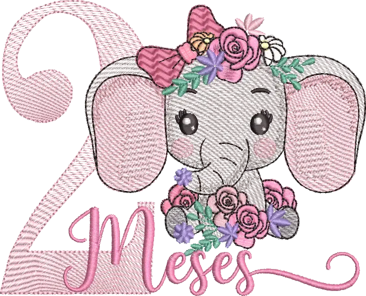 2_MESES_ELEFANTINHA_CUTLINE_BORDADOS_TEL-79996635063.PNG.webp