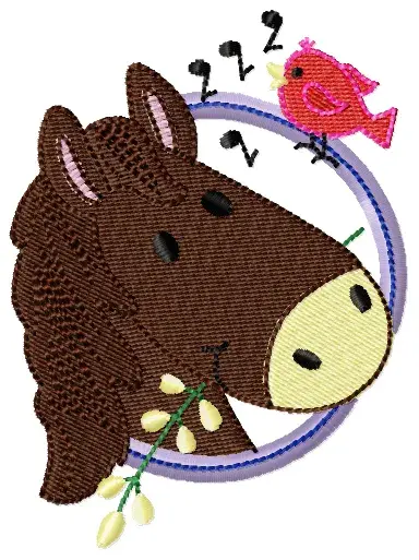 ANIMAIS (81) (5).webp