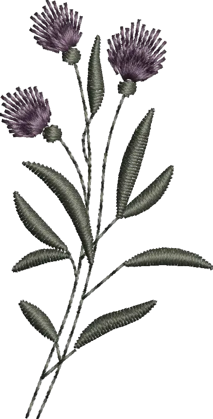 1 FLORES 2 CUTLINE BORDADOS TEL-79996635063 (12).webp