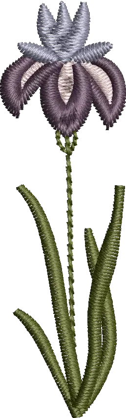 1 FLORES 2 CUTLINE BORDADOS TEL-79996635063 (4).webp