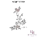 ALFABETO ROSEIRA (4).webp