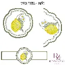 mesa posta - limão (6).webp