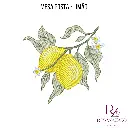 mesa posta - limão (4).webp