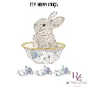 coelho na louça (1).webp