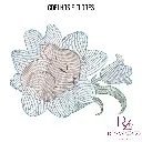 COELHOS E FLORES (3).webp