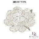 COELHOS E FLORES (1).webp