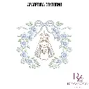 APARECIDA CONTORNO (1).webp