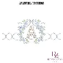 APARECIDA CONTORNO (2).webp