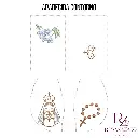 APARECIDA CONTORNO (3).webp