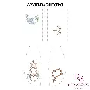 APARECIDA CONTORNO (4).webp