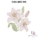 PÁSCOA CRISTÃ 2026 (8).webp