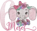 6_MESES_ELEFANTINHA_CUTLINE_BORDADOS_TEL-79996635063.PNG.webp