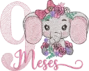 9_MESES_ELEFANTINHA_CUTLINE_BORDADOS_TEL-79996635063.PNG.webp