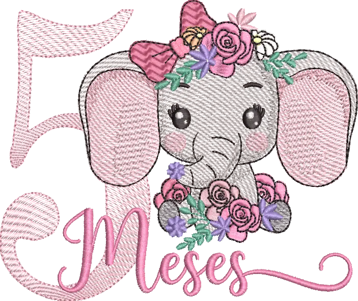 Elefantinha 5 Mês    