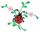 [ANIMAIS]Joaninha floral