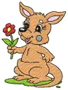 [ANIMAIS]Canguru fofinho