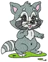 [ANIMAIS]Guaxinim fofinho