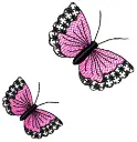 [BORBOLETA] Borboleta 8
