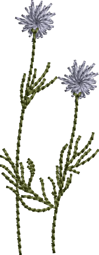Flores 1