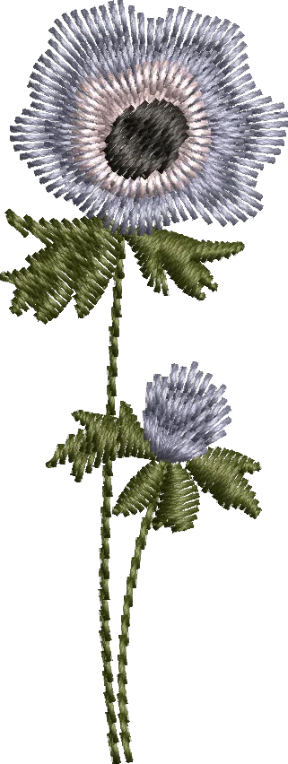 Flores 2