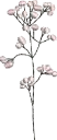 Flores 3