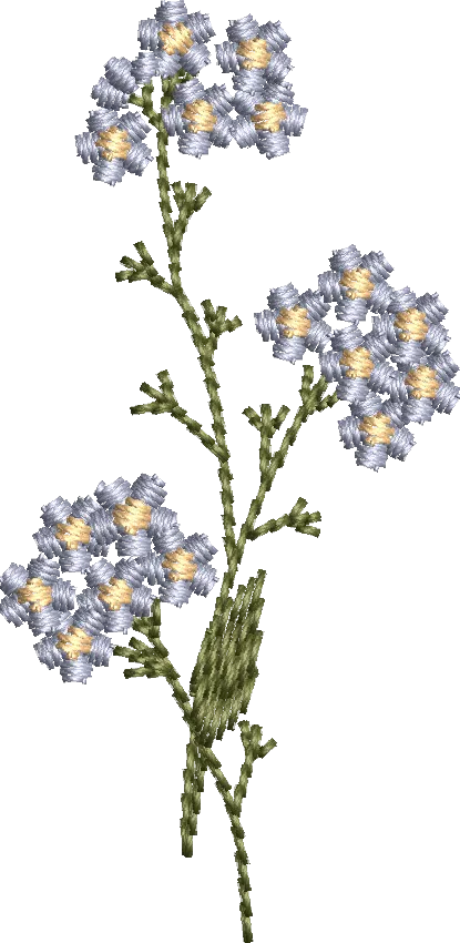 Flores 4