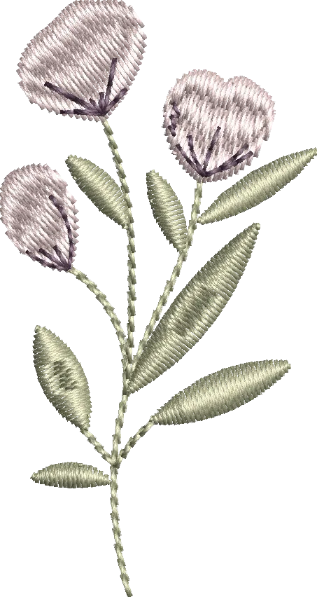 Flores 5