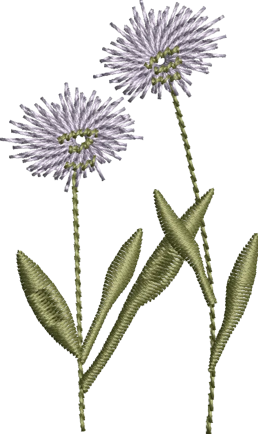 Flores 6
