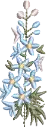 Flores 9