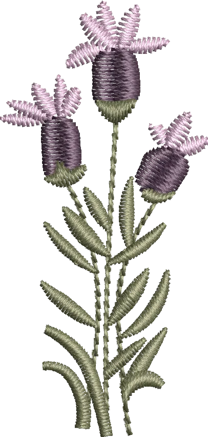 Flores 10 
