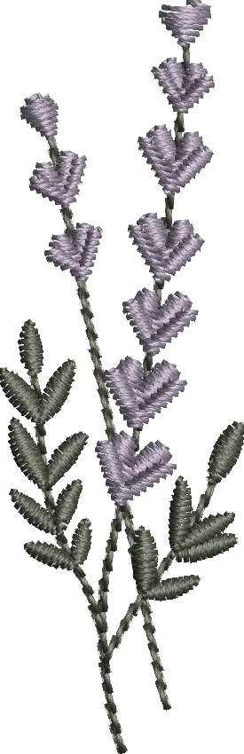 Flores 11