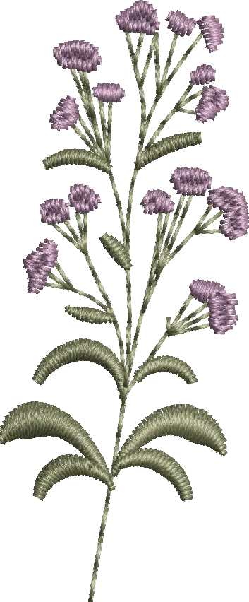 Flores 14