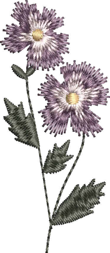 Flores 15