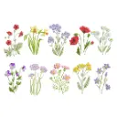 Flor Jasmin