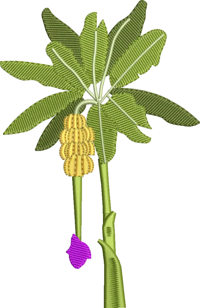Árvore Tropical