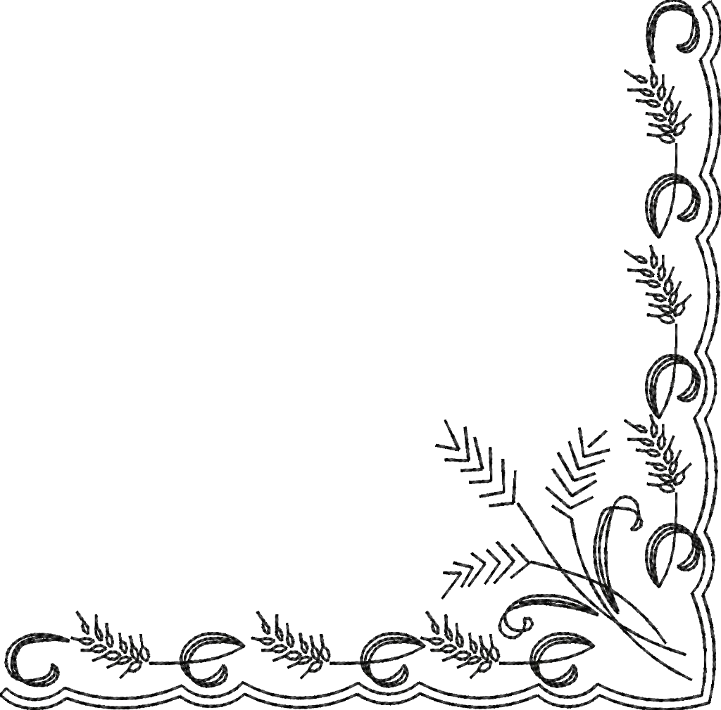 Barrinha Borda Floral 