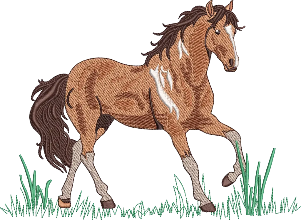 Cavalo Elegante