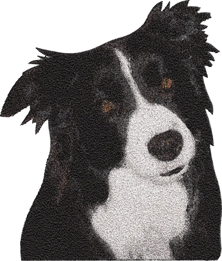 Amigo Doguinho