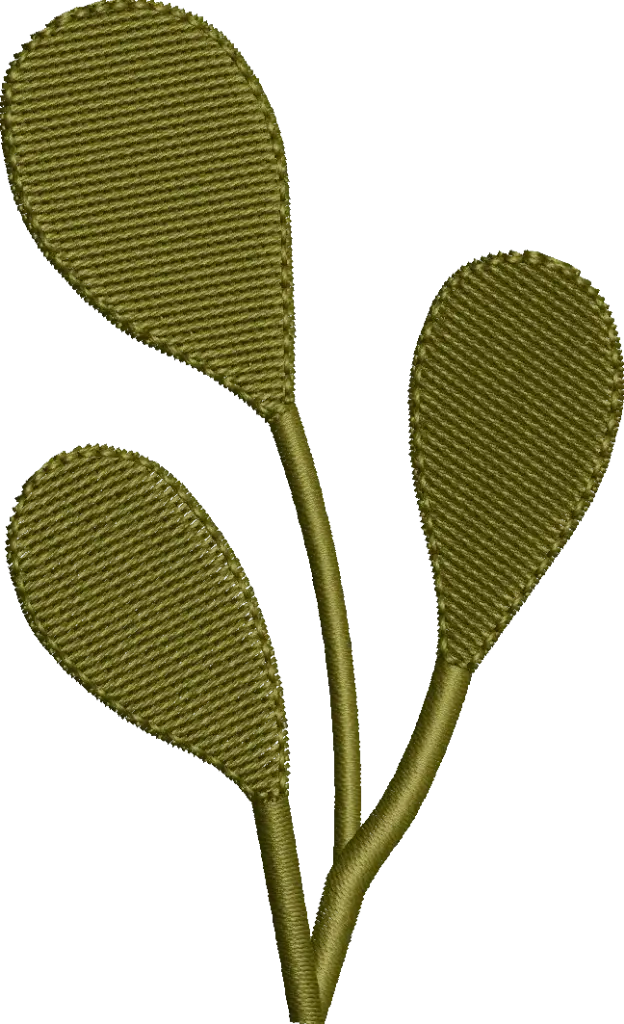 Galho Cacto