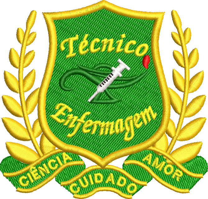 Técnico em Enfermagem 2