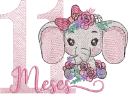 Elefantinha 11 Mês 