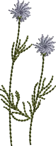 [MT-C133-1] Flores 1