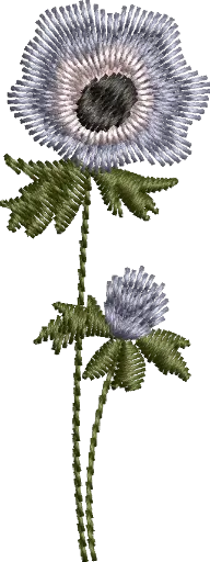 [MT-C133-2] Flores 2