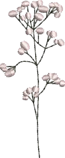 [MT-C133-3] Flores 3