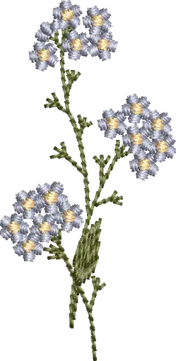 [MT-C133-4] Flores 4