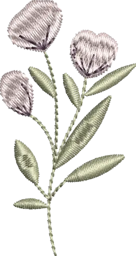 [MT-C133-5] Flores 5