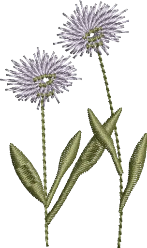 [MT-C133-7] Flores 7