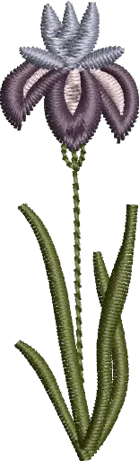 [MT-C133-8] Flores 8