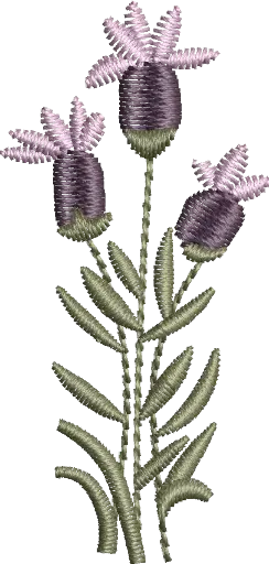 [MT-C133-10] Flores 10 